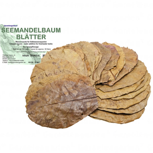 Garnelengarten Seemandelbaumblätter 30 Stück